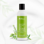 Organic Neem Anti Dandruff Shampoo